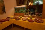 CRW_0163.jpg